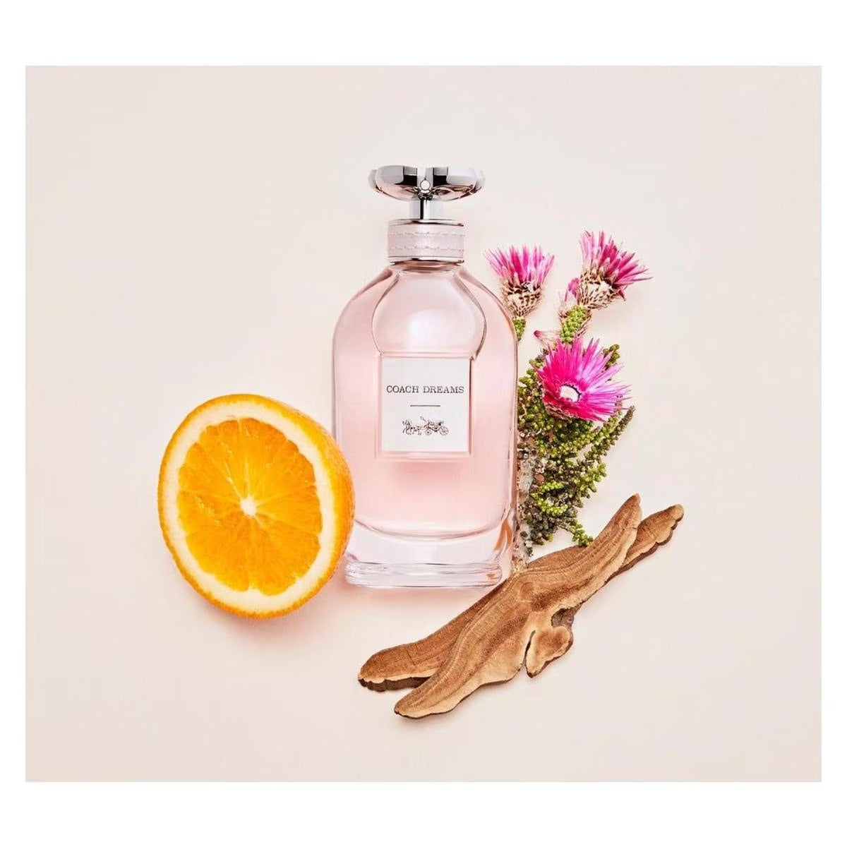 Coach Dreams Eau De Parfum For Women