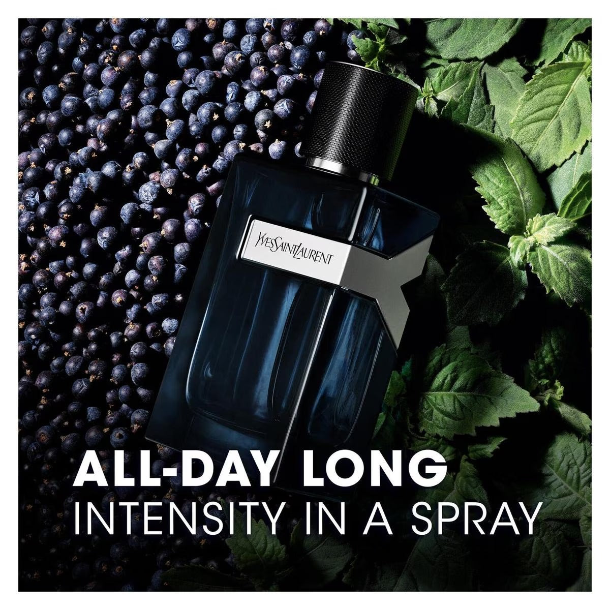 YVES SAINT LAURENT Y Intense Eau De Parfum For Men