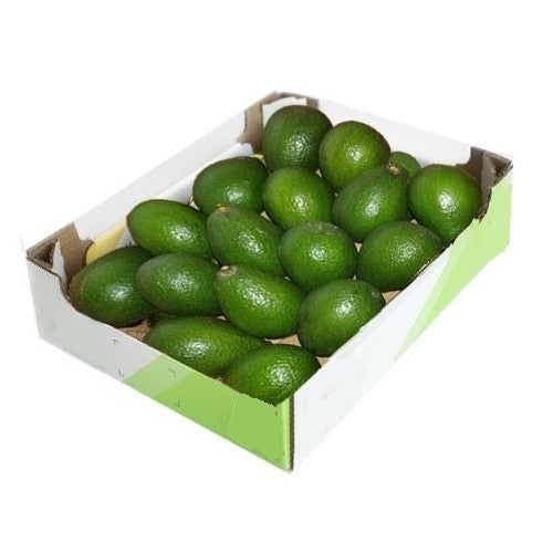 Avocado 500 Gram (Bid One)