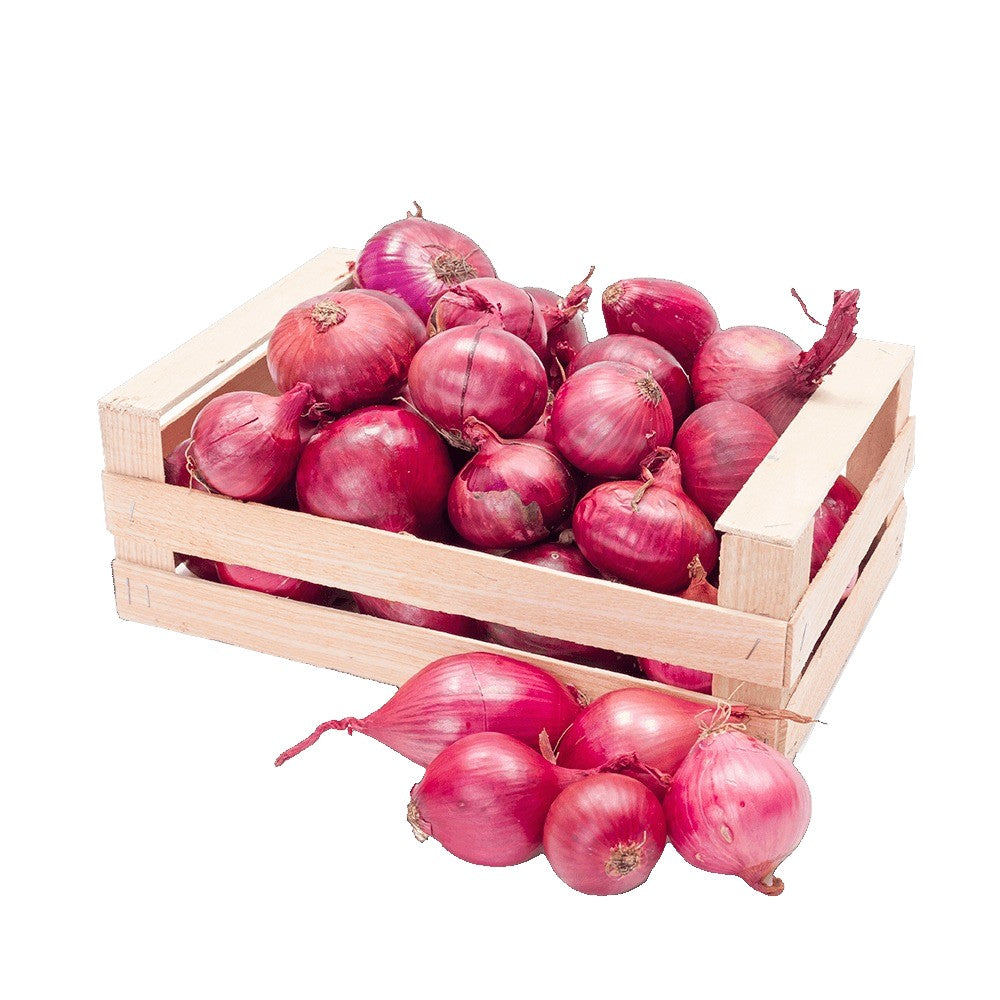 Onion 1 KG