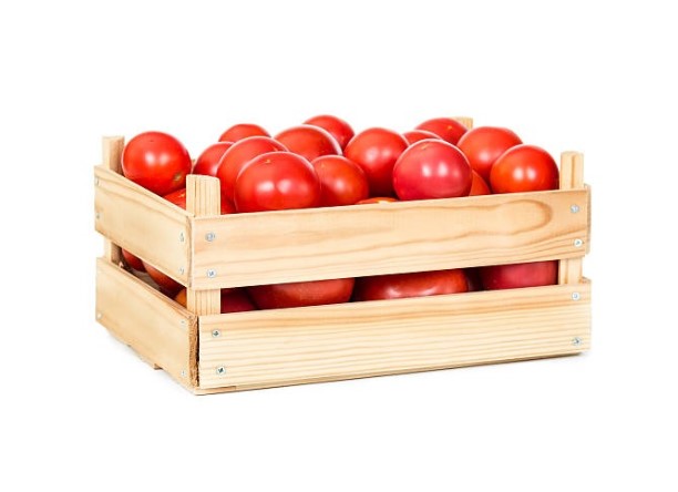 Tomato 1 KG