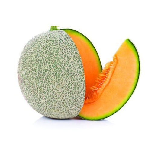 Rock Melon Medium